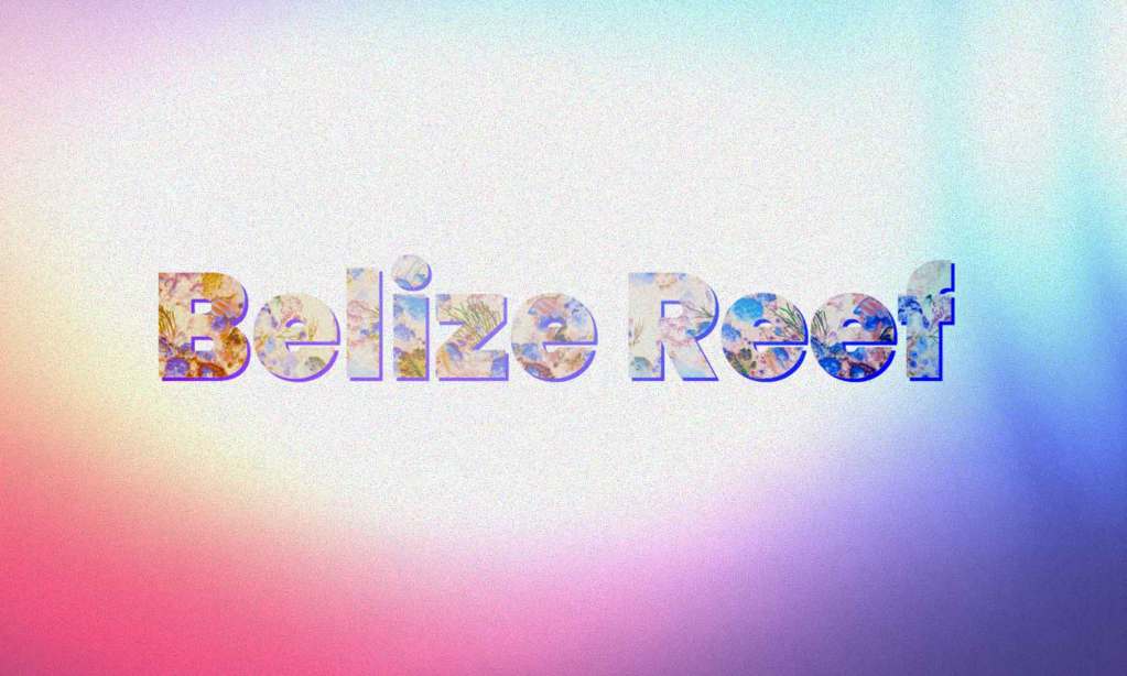 Typography