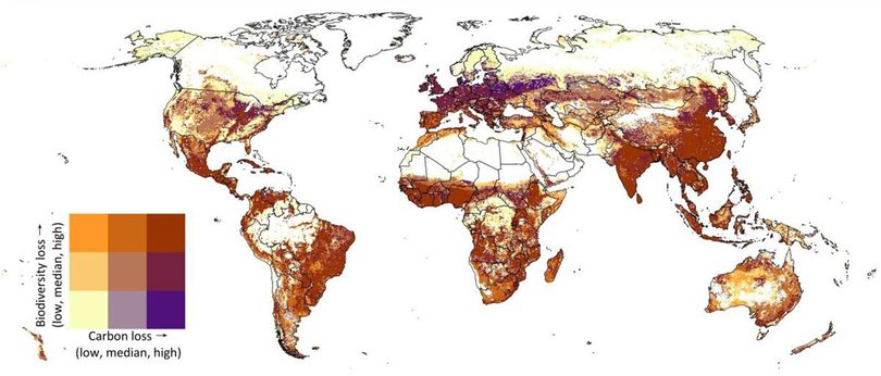 Beef and dairy drive 41 of farmlands biodiversity damage