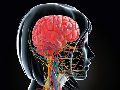 Brain's drain