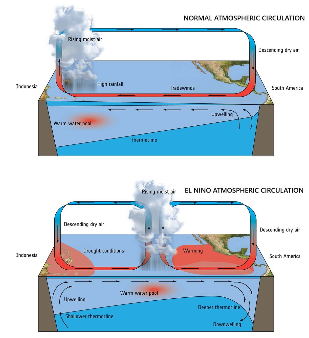 el-nino-ocean-surface-temperature-anomaly-pacific-north-america-atmospheric-weather-bridge-united-states-canada-walker-cell-schematic-record-event-2026