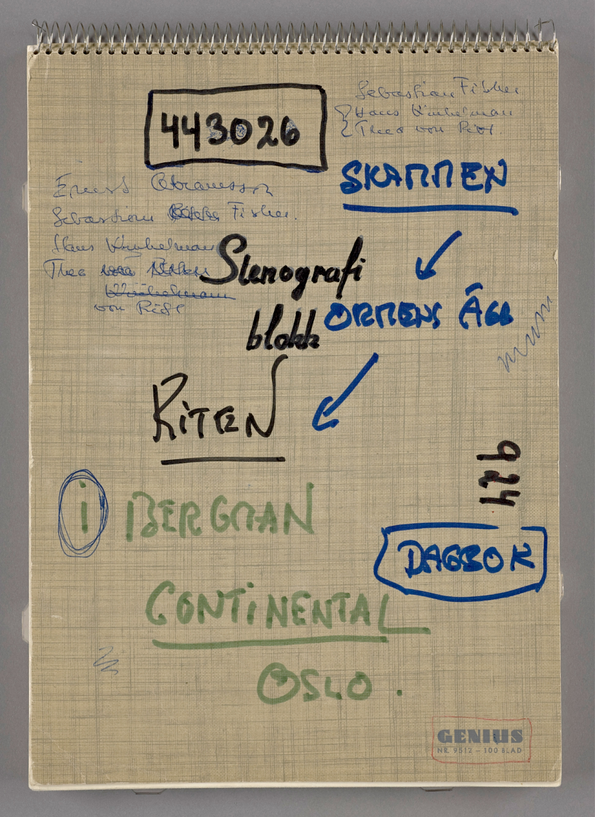 Bergman workbook