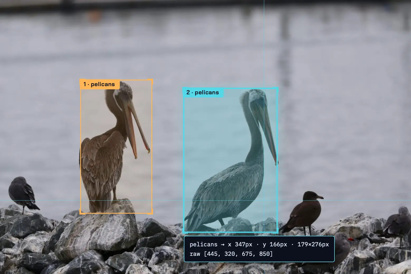 Фотография двух пеликанов на скале с точными bounding box вокруг каждого из них