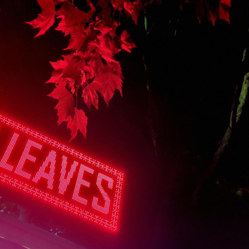 Красная светодиодная вывеска со словом LEAVES. Над ней настоящие листья, окрашенные её светом в красный.