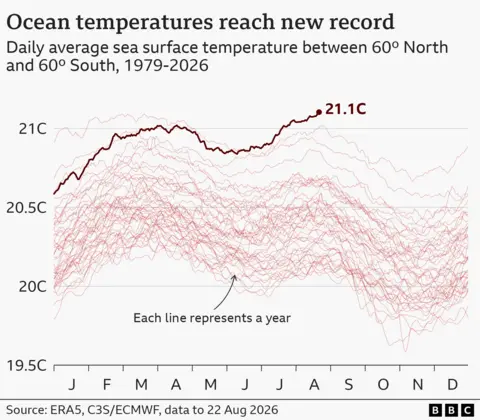 Graph showing global average sea surface temperatures for each day of the year.