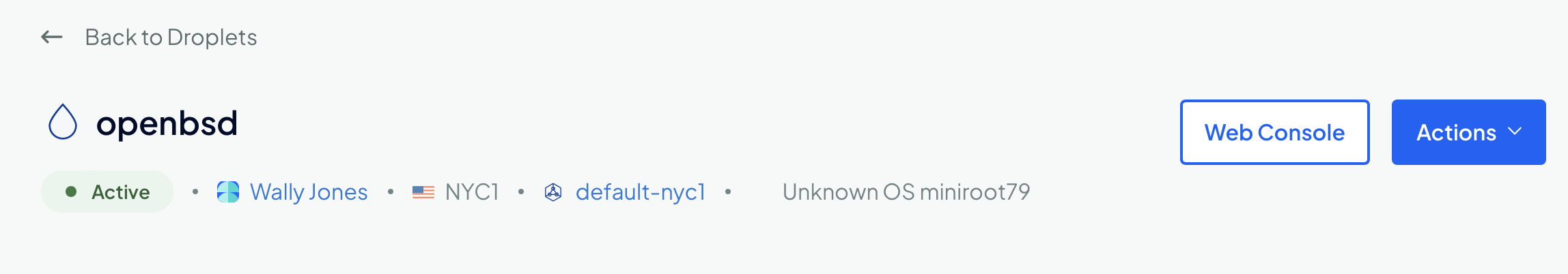 Top of Droplet page showing Web Console button on DigitalOcean
