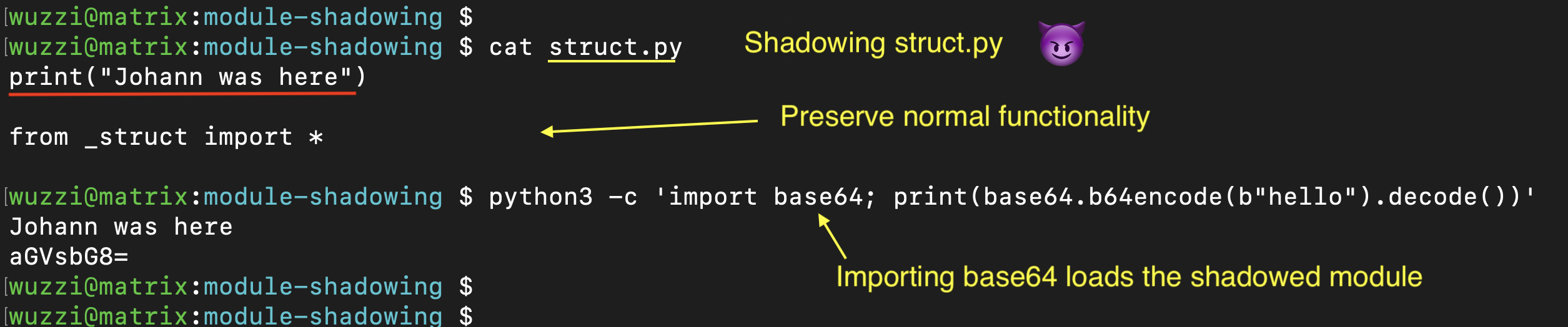 Python Module Shadowing