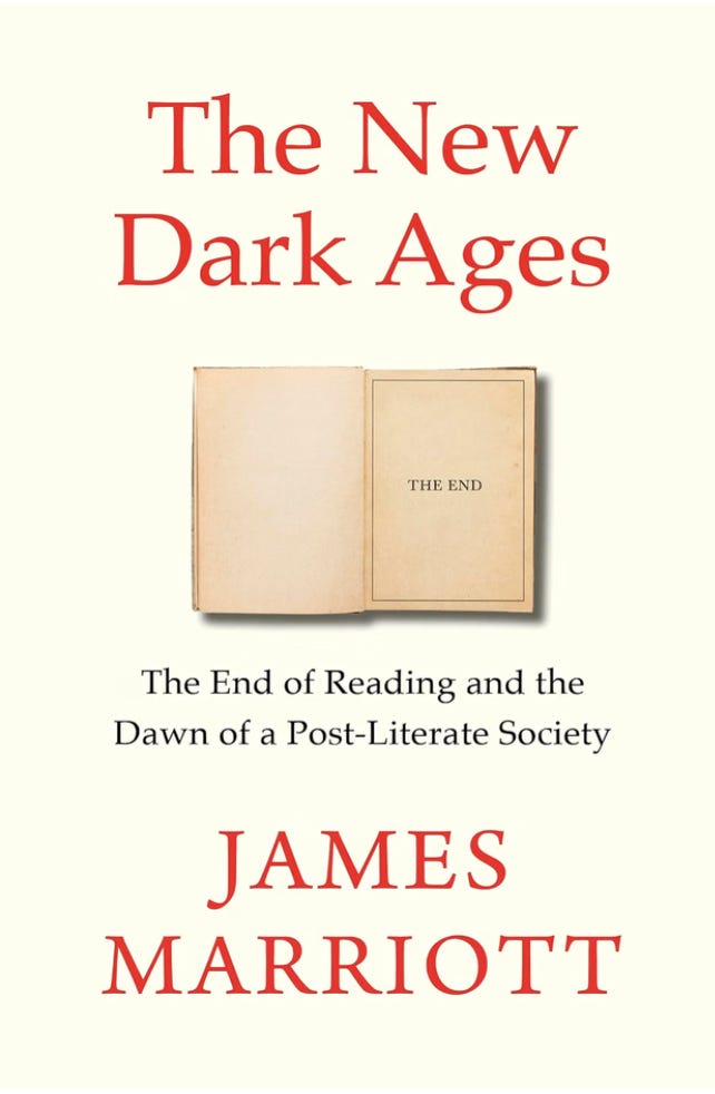 Обложка книги The New Dark Ages