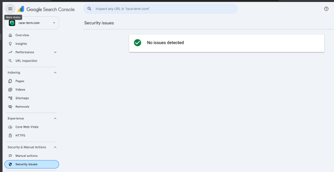 скриншот Google Search Console, показывающий, что race-term.com безопасен