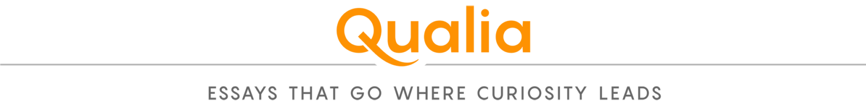 Раздел Qualia