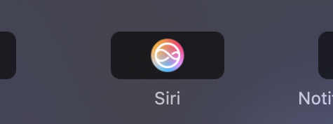 Старый логотип Siri в параметрах Touch Bar.
